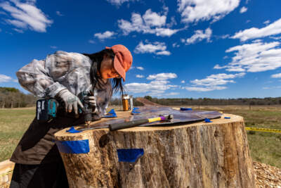 Artist Jean Shin drills holes through recycled copper to nail it onto a tree stump forming a human perch as part of her exhibit at Appleton Farms, “Perch.” (Jesse Costa/WBUR)