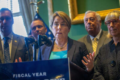 Gov. Maura Healey speaks to news media shortly after she signed the fiscal year 2025 budget. (Jesse Costa/WBUR)