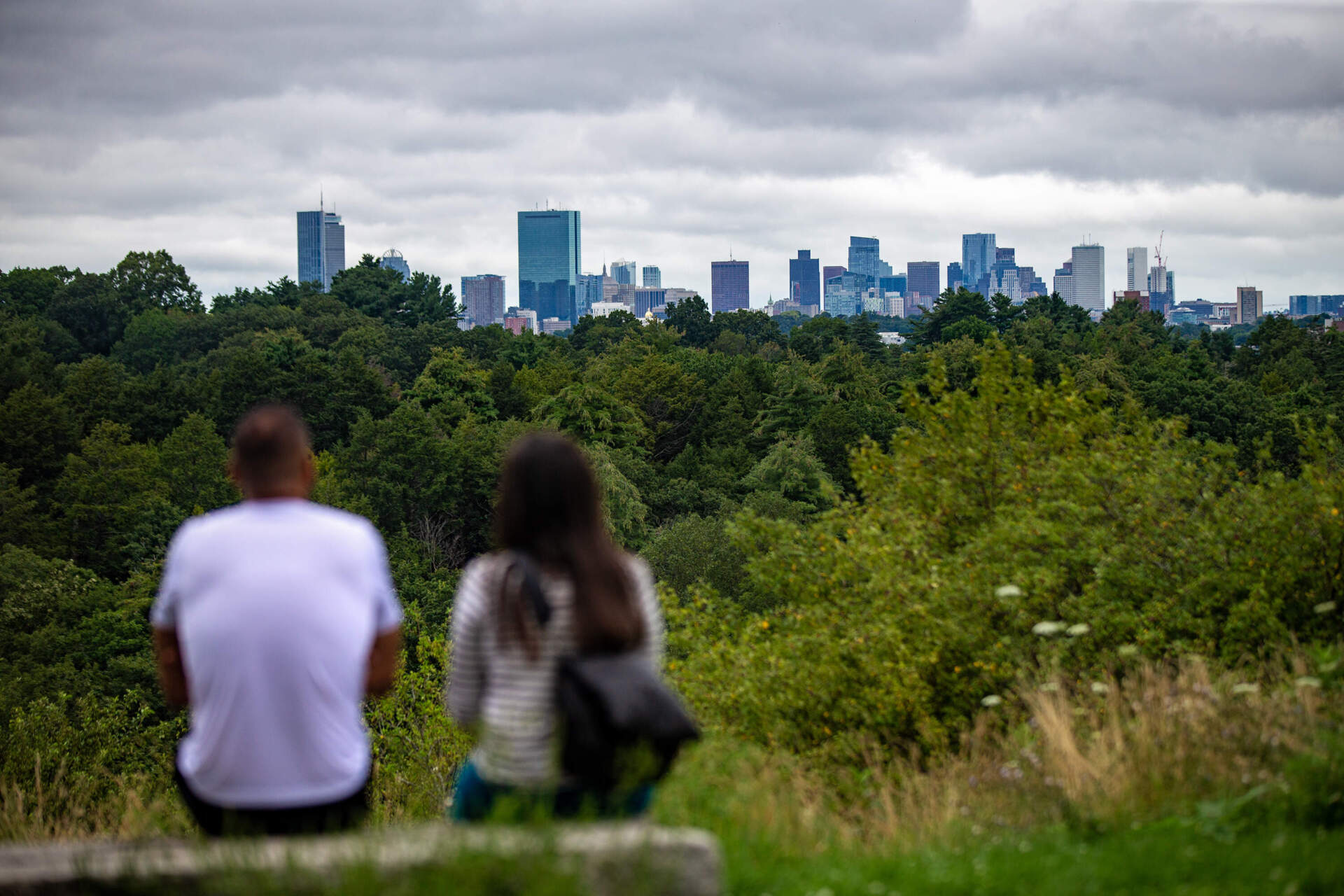 A couple sits to look at the view of the Boston skyline atop Peters Hill in Boston's Arnold Arboretum. (Jesse Costa/WBUR)