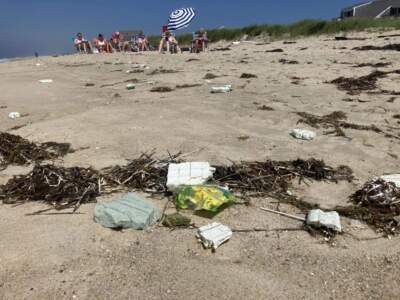 Pieces of foam pictured on the beach on the southern tip of Nantucket on Tuesday, July 16, 2024, after a Vineyard Wind blade was damaged days earlier. (Courtesy of Mary Chalke via SHNS)