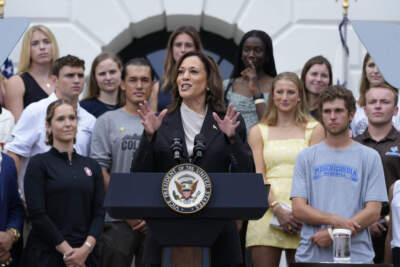 Vice President Kamala Harris speaks from the South Lawn of the White House in Washington, Monday, July 22, 2024, during an event with NCAA college athletes, in what was her first public appearance since President Joe Biden endorsed her to be the next presidential nominee of the Democratic Party. (AP Photo/Susan Walsh)