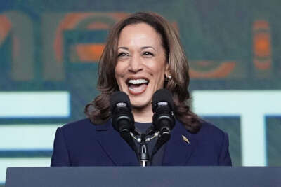 Vice President Kamala Harris delivers remarks at a Sigma Gamma Rho Sorority gathering in Houston, Wednesday, July 31, 2024, in Houston. (AP Photo/LM Otero)