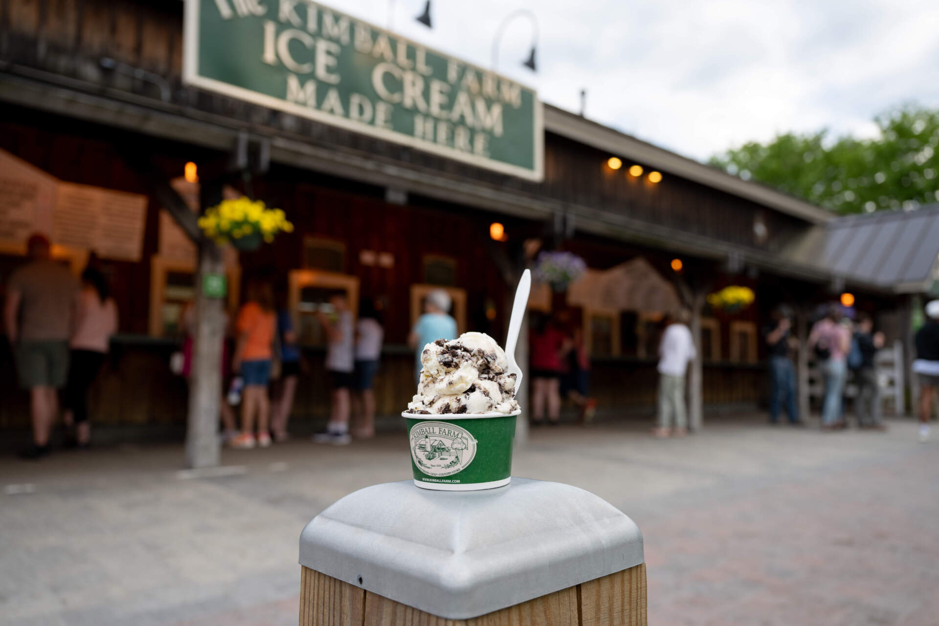 A cookies and cream ice cream at Kimball Farm in Westford, Mass. in 2024. (Raquel C. Zaldívar/New England News Collaborative)