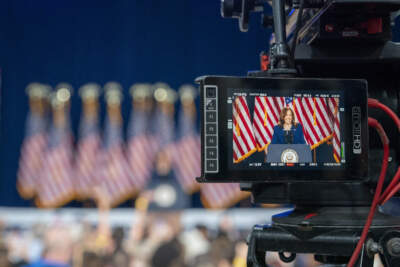 Vice President Kamala Harris campaigns for president as the presumptive Democratic candidate during an event at West Allis Central High School on July 23 in West Allis, Wisconsin. (Kayla Wolf/AP)