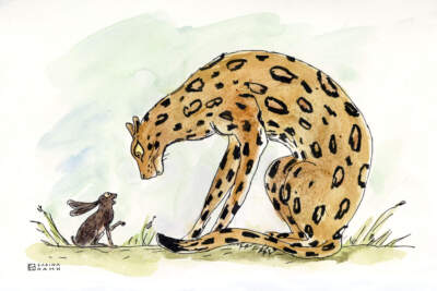 A leopard and a hare. (Sabina Hahn for WBUR)