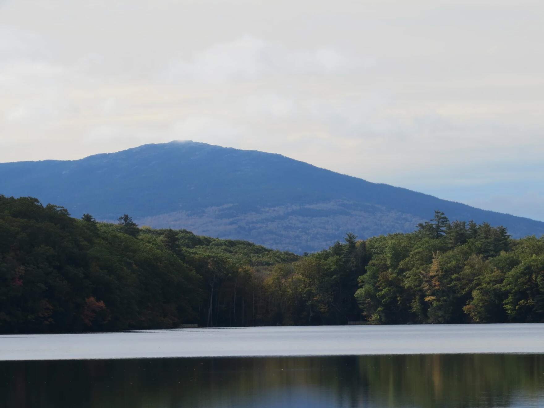 Mount Monadnock, as seen from Childs Bog in Harrisville. (Dan Tuohy/NHPR)