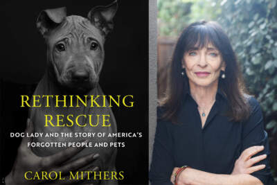 The cove of &quot;Rethinking Rescue&quot; beside author Carol Mithers. (Courtesy)