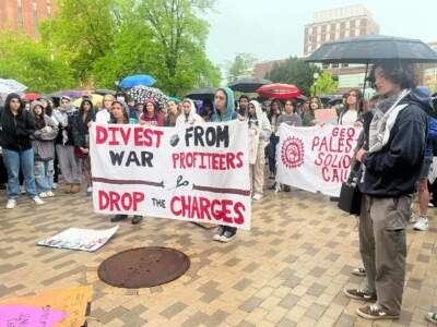 Hundreds of students gather on campus, Wednesday, May 8, 2024, to protest the war in Gaza, UMass Amherst's ties to military contractors, and the university's decision to order police to clear an encampment the night before. Police arrested more than 130 protesters. (Nirvani Williams/NEPM)