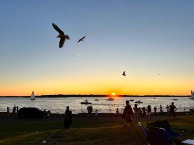 Sunset at Newport Folk Festival at Fort Adams State Park in Rhode Island, overlooking Newport Harbor, July 2023. (Courtesy Jonathan D. Fitzgerald)