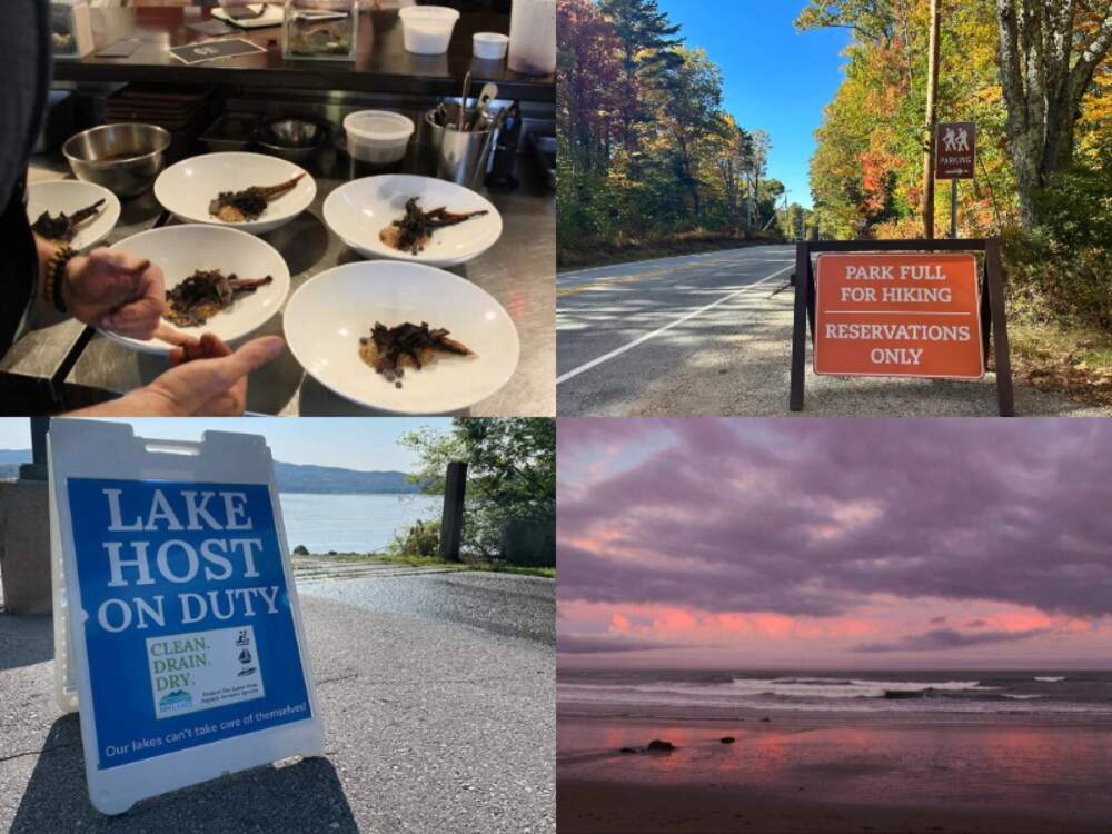 Scenes from across New Hampshire. (New Hampshire Public Radio)