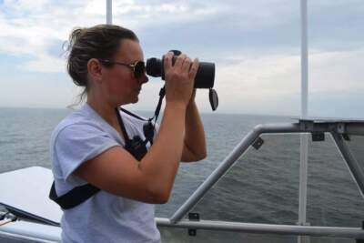 Sarah Leiter, who leads the visual survey program for the Maine Department of Marine Resources, scans the water for signs of North Atlantic right whales and other marine life during a recent research cruise in July. (Courtesy of Jeff Nichols, Maine Department of Marine Resources via Maine Public)