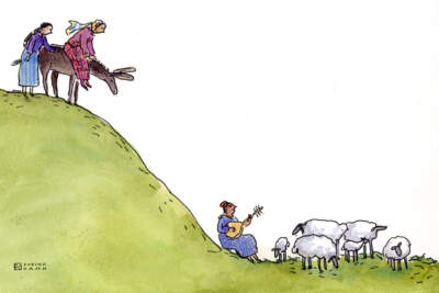 Two travelers look down a hill at a group of sheep and goats. (Sabina Hahn for WBUR)