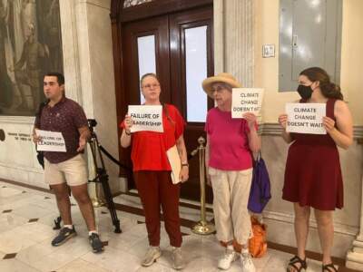 Climate protesters held up signs outside the Senate chamber as the branch adjourned on Thursday, Aug. 1, 2024. (Alison Kuznitz/SHNS)